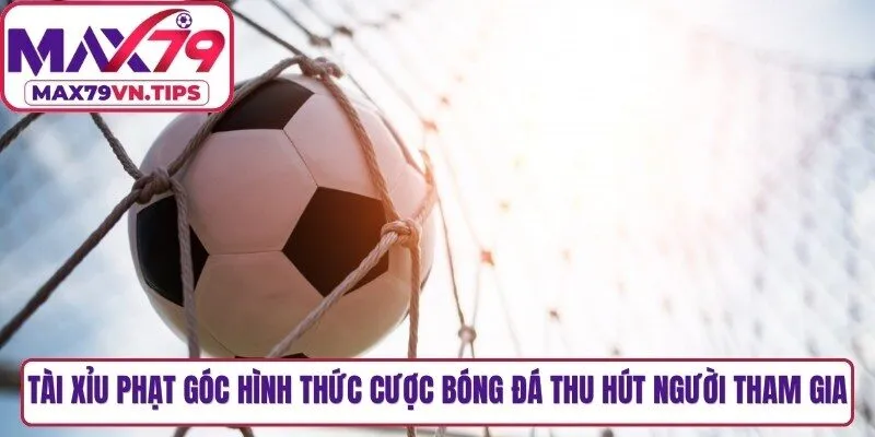 Tài xỉu phạt góc là hình thức cược bóng đá thu hút nhiều người tham gia