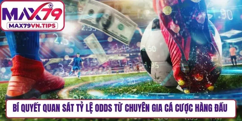 Bí quyết quan sát tỷ lệ odds từ chuyên gia cá cược hàng đầu hiện nay